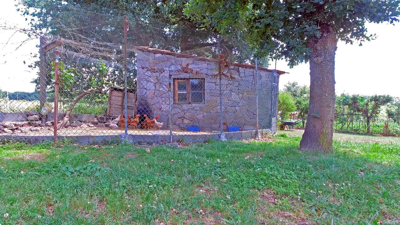 Torre Vilarino Guest House Vilarino  Luaran gambar